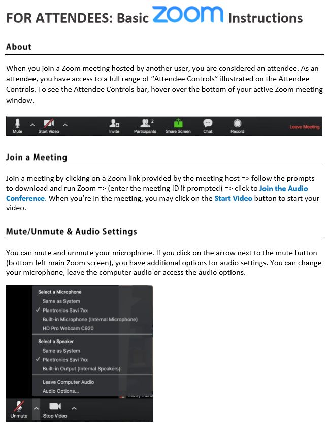 Basic ZOOM Instructions > Library NY String Academy